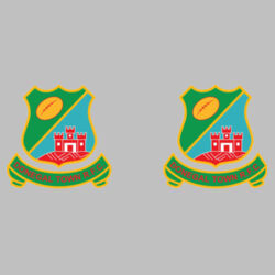 Donegal Town RFC - Metal Mug Design
