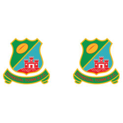 Donegal Town RFC - 16oz Thermos Cup Design